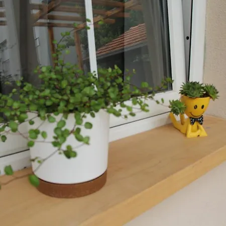 דירה Lilium קנין