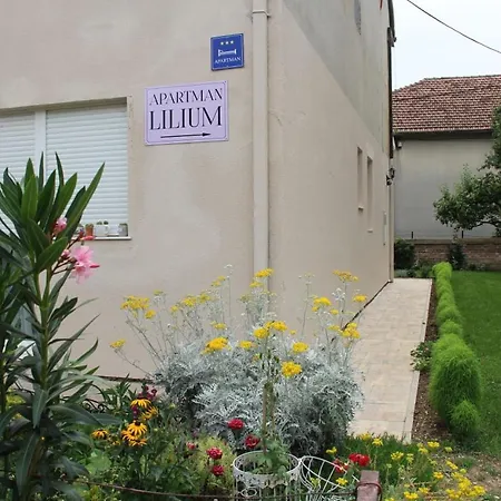 Lilium Apartment Knin