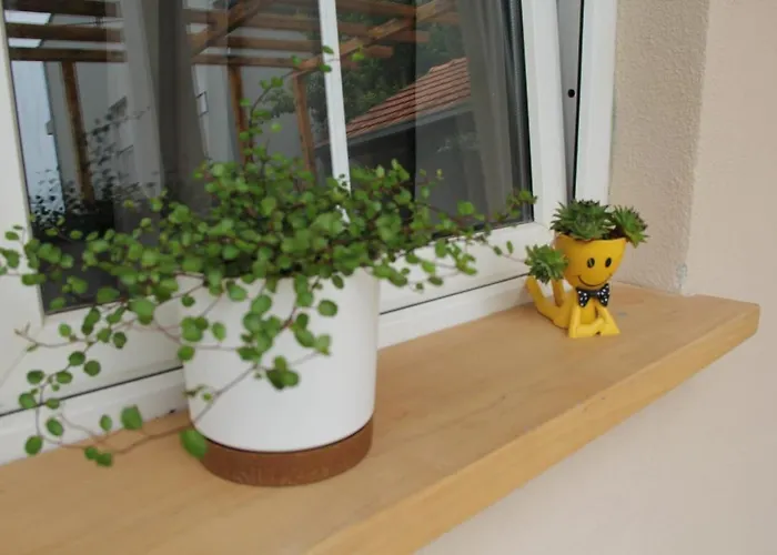 Апартаменты Lilium Книн